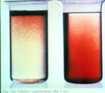 Results of Wastewater Treatability Results of Wastewater Treatability