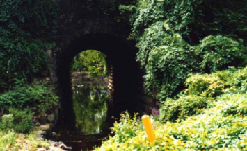 Stormwater Culvert re: Flooding Stormwater Culvert re: Flooding