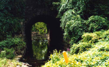 Stormwater Culvert re: Flooding